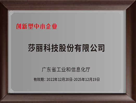 创新型中小企业